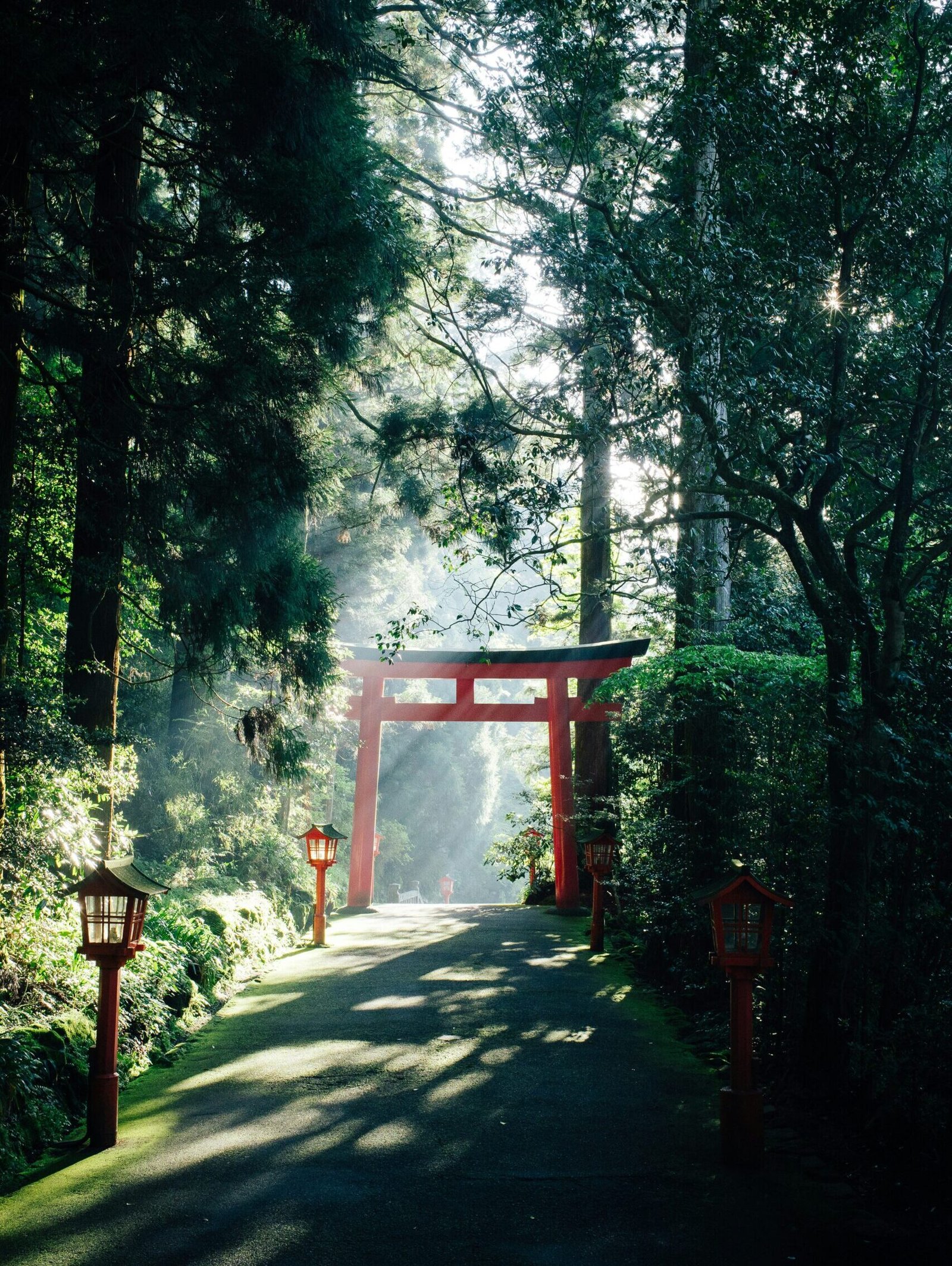 Syuhei Inoue KaoHI0iHJPM Unsplash Scaled E1785445757836